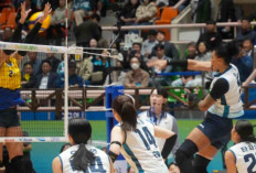 KOVO Cup 2026: Drama 5 Set! Tumbangkan Pink Spiders, GS Caltex ke Final