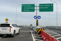 Mau ke Betung? Simak Panduan Pintu Masuk Tol Palembang-Betung Fungsional 2026 agar Tak Salah Jalur