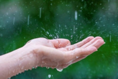 Prakiraan Cuaca BMKG: Hujan Ringan Rata Mengguyur Sumsel Hari Ini, Jangan Lupa Payung!