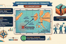 Gempa Magnitudo 4,1 Guncang Ternate Pagi Ini, Tak Berpotensi Tsunami