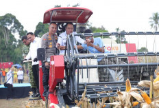 Dukung Swasembada Pangan 2026, Intip Cara Polda Sumsel Kawal KUR dan Manjakan Petani Jagung Lokal