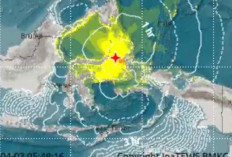 Gempa M 7,6 Guncang Sulut, Tsunami Terdeteksi! Warga Diminta Waspada