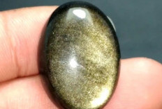 Mengenal Batu Akik Bulu Moyet: Asal-Usul, Keunikan, hingga Mitos Tuah yang Melegenda