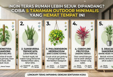 Teras Rumah Sempit Jadi Makin Sejuk! Ini 5 Pilihan Tanaman Outdoor Minimalis yang Hemat Tempat & Mudah Dirawat