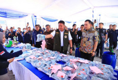 Ketegasan Gubernur Herman Deru Perkuat Benteng Keluarga dan Desa Putus Rantai Narkoba di Sumsel