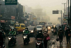 Waspada! Kabut Asap dan Udara Kabur Diprediksi Landa Sejumlah Wilayah Sumsel Hari Ini