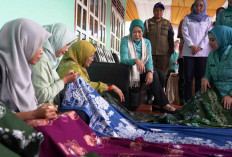 Ketua TP PKK Sumsel Feby Herman Deru Kagum Karya Perajin Lokal Batik Ramah Lingkungan di Lubuk Linggau
