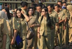 Ada Peluang! Ini Skema Peralihan PPPK Paruh Waktu ke Penuh Waktu