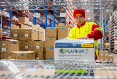 GEMPAR! DHL Kucurkan Investasi Fantastis di Singapura, Disulap Jadi Benteng Obat Terbesar se-Asia Pasifik!