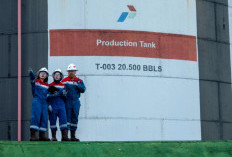Hasil Produksi Bakal Naik, Pertamina EP Zona 4 Kini Punya Cadangan Minyak Baru, Ini Lokasinya? 
