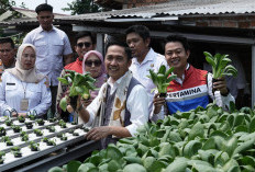 Palembang Resmi Punya Ruang Bersama Indonesia Pertama, Kilang Plaju Bikin Gebrakan Spektakuler!