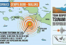 Gempa Magnitudo 3,8 Pagi Tadi Guncang Kepulauan Aru, Tak Berpotensi Tsunami