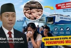 Viral Bau Babi di Kapal ASDP Bikin Penumpang Mual! Akbar Ikhramsyah Desak Kapal Khusus Ternak Masuk APBN