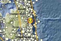Gempa Magnitudo 5,5 Siang Ini Guncang Melonguane, Tak Berpotensi Tsunami