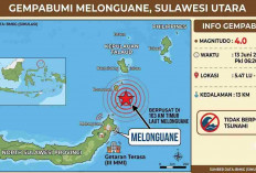 Gempa Beruntun Guncang Melonguane dan Sigi, Magnitudo Terbesar 4,0