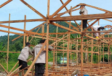 Capai 47 Unit, Pembangunan Huntara Sat Brimob Polda Sumbar Terus Berjalan di Pauh