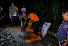 Nahas, Seorang Pemulung Ditemukan Tewas Diduga Tersenggol Kereta Api di Jalur Rel Prabumulih
