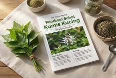 Panduan Sehat: Manfaat, Cara Mengolah, dan Tips Aman Konsumsi Kumis Kucing