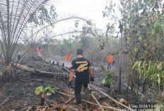 MANTAP BETUL! PT Tripupa Jaya Kerahkan 54 Personel dan Heli Water Bombing Padamkan Karhutla Muba!