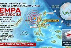 Gempa Magnitudo 5,6 Guncang Halmahera Barat Pagi Ini, BMKG: Tak Berpotensi Tsunami