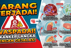 Jarang Terjadi tapi Perlu Diwaspadai, Ini 4 Jenis Kanker Langka yang Bisa Menyerang Tubuh