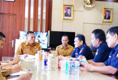 Siap-Siap Disikat! Bea Cukai dan Pemkot Prabumulih Incar Oknum Beking Rokok Ilegal