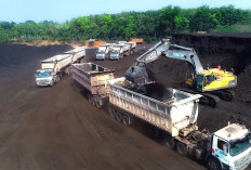 APBI Surati Gubernur Sumsel, Desak Pembatasan Jalan Umum Diterapkan Bertahap