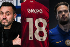 Rencana B Roberto De Zerbi Jika Transfer Cody Gakpo ke Tottenham Gagal