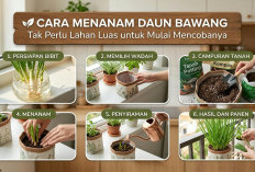 Jangan Dibuang Sisa Akarnya! Ini Cara Praktis Menanam Daun Bawang di Rumah Tanpa Lahan Luas