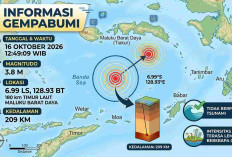 Gempa Magnitudo 3,8 Guncang Maluku Barat Daya Siang Ini, BMKG Catat Kedalaman 209 Km