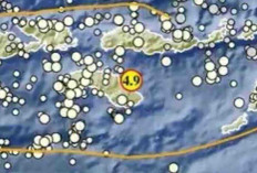 Pagi Ini Indonesia Diguncang Rentetan Gempa! Waingapu M 4,9 Jadi yang Terkuat