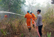 Api Lahap Lahan Semak Belukar di Tanah Abang, Polsek Batanghari Leko Turun Tangan