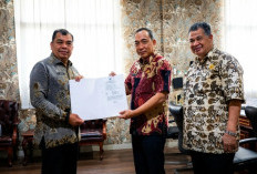 Edi Rahmat Dinonaktifkan! Elvis Rusdy Ditunjuk Pimpin BPBD Ogan Ilir, Karhutla Jadi Sorotan