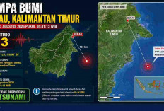 Gempa Beruntun Guncang Indonesia Pagi Ini, Berau Kaltim Magnitudo 4,3