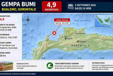 Gempa Magnitudo 4,9 Guncang Gorontalo Pagi Ini, BMKG Pastikan Tak Berpotensi Tsunami