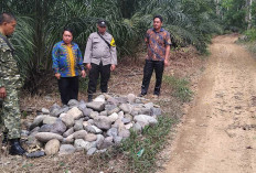 Permudah Mobilitas Angkut Hasil Kebun, Pemdes Beringin Jaya Lahat Bangun Jalan Usaha Tani Sepanjang 260 Meter