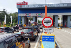 Jalur Fungsional Palembang–Betung Mulai Diserbu Pemudik, Intip Laporan Trafik Terkini HK