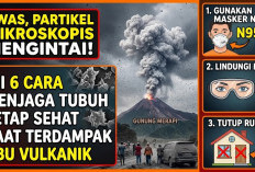 Awas, Partikel Mikroskopis Mengintai! Ini 6 Cara Menjaga Tubuh Tetap Sehat Saat Terdampak Abu Vulkanik