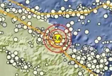 Rangkaian Gempa Dinihari di Indonesia: Papua Terkuat, Capai Magnitudo 5,6!