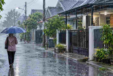 11 Wilayah Sumsel Diprediksi Hujan Hari Ini, Palembang Termasuk! Cek Daerah Lainnya
