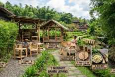Sering Dipakai Hiasan Ruang Tamu: Intip 7 Khasiat Luar Biasa Bambu Jepang Saring Udara Beracun hingga...