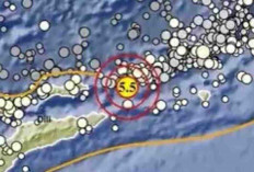 Gempa Magnitudo 5,5 Pagi Ini Guncang Maluku Barat Daya, Tak Berpotensi  Tsunami