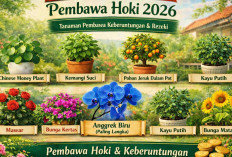 Daftar Tanaman Pembawa Hoki 2026: Nomor 4 Paling Langka dan Dicari Kolektor!