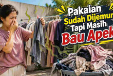 Bukan Salah Deterjen, 5 Kebiasaan Saat Menjemur Ini Bisa Bikin Pakaian Tetap Bau Apek