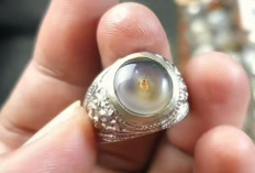 Ini Batu Akik Paling Cocok Dipakai Guru Untuk Menaklukkan Murid di Kelas, Simak 8 Khasiat Lainnya!