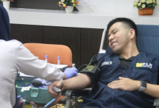 PLN Icon Plus Hidupkan Semangat Humanity Lewat Aksi Donor Darah