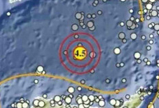 Sulut hingga NTB Digoyang Gempa Pagi Ini, Ada yang Capai Magnitudo 4,5!