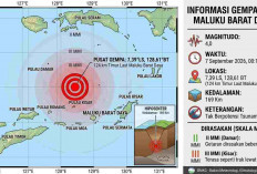 Gempa Magnitudo 4,0 Guncang Maluku Barat Daya Dini Hari, BMKG: Tak Berpotensi Tsunami!