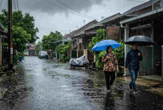 Waspada! 8 Daerah Sumsel Berpotensi Diguyur Hujan Hari Ini, Palembang Masih Udara Kabur