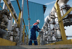 Pertamina EP Temukan Sumur Minyak Baru di Adera Field, Potensi Tembus 3.442 BOPD 